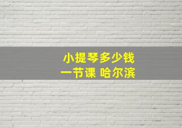 小提琴多少钱一节课 哈尔滨